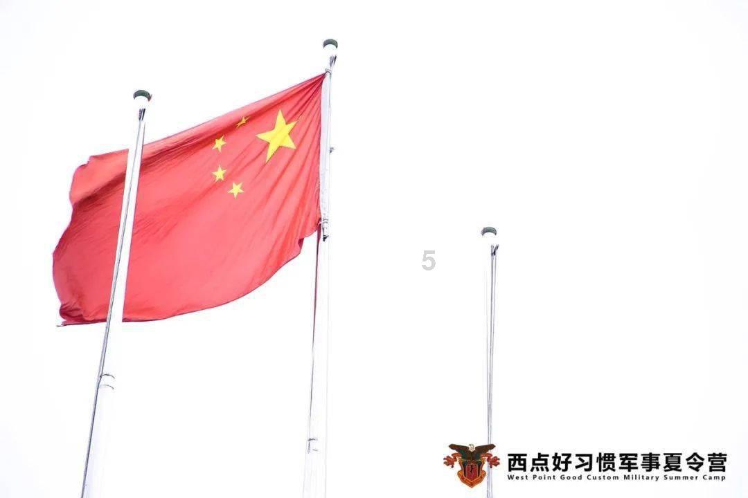逃离壳牌岛